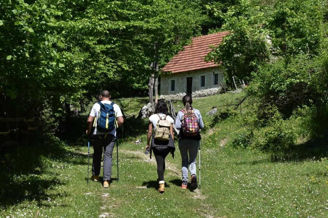 Apartman Sara